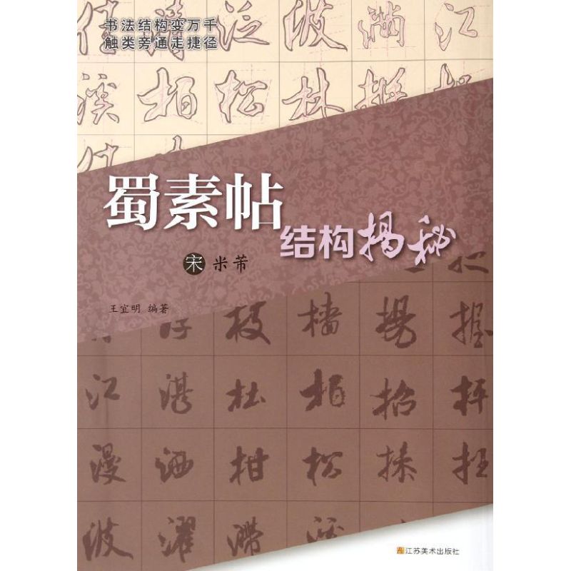 正版新书 结构揭秘 王宜明 江苏美术出版社