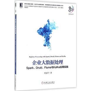 Druid 企业大数据处理：Spark Flume与Kafka应用实践 肖冠宇 社 正版 机械工业出版 新书