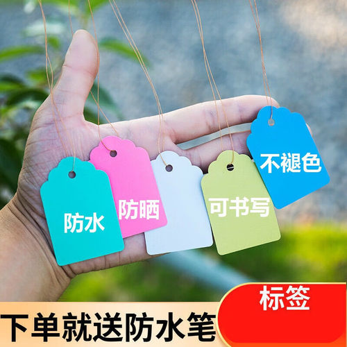 100片吊牌植物标牌树木记号牌分类色卡塑料防水耐晒不褪色PVC标签