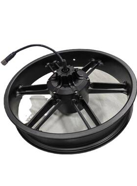 1000W20寸一体轮雪地车电机