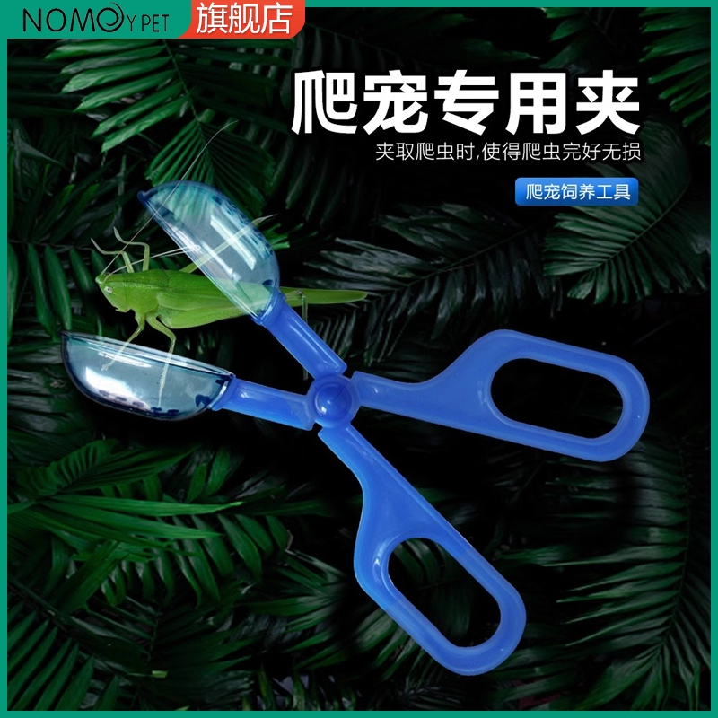 NOMOYPET爬宠夹子大麦虫