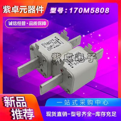 170M5808170M5809170M5810170M5811170M5812170M5813保险丝