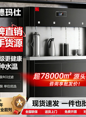 德玛仕四级超滤大型直饮水机商用学校专用车间直饮机带净化功能
