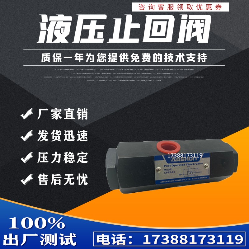 ASHUN台湾原装油顺CPTS-03-50-10引导逆止管式液控单向阀保压自锁