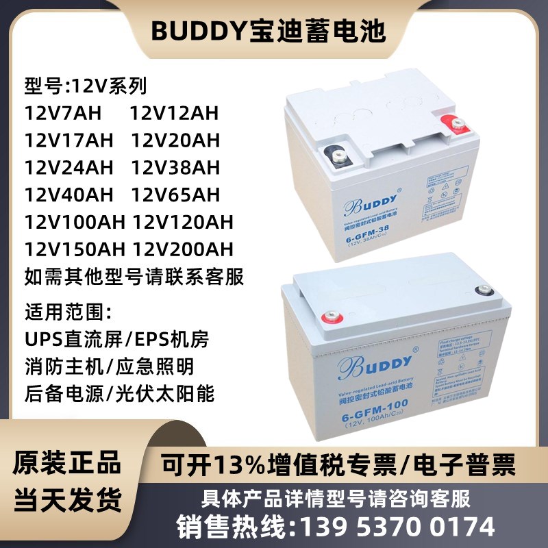 宝迪蓄电池6-GFM-38 12V24A38A50A65A100A120AH配电柜直流屏UPS
