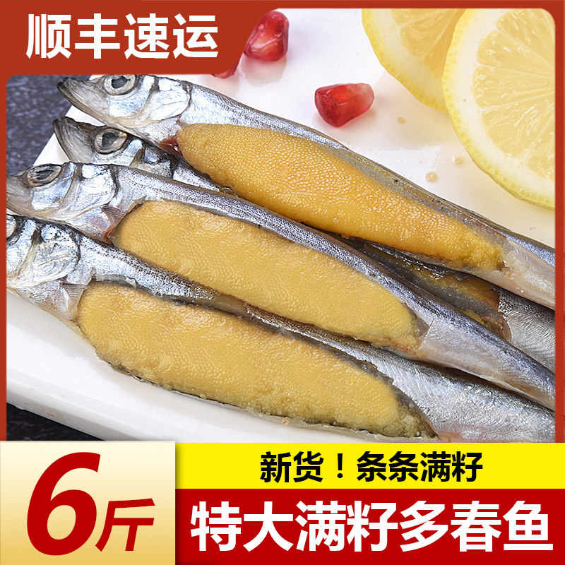 多春鱼满籽新鲜冷冻多籽鱼海鲜水产鲜活特大冻干海鱼烧烤食材包邮,水产肉类/新鲜蔬果/熟食,多春鱼（新）,淘宝优惠券,粉丝福利购,淘宝优惠卷