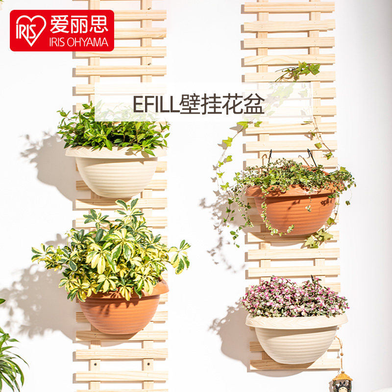 爱丽丝花盆壁挂墙面悬挂式半壁欧式半圆吊兰爱丽思塑料墙壁挂壁