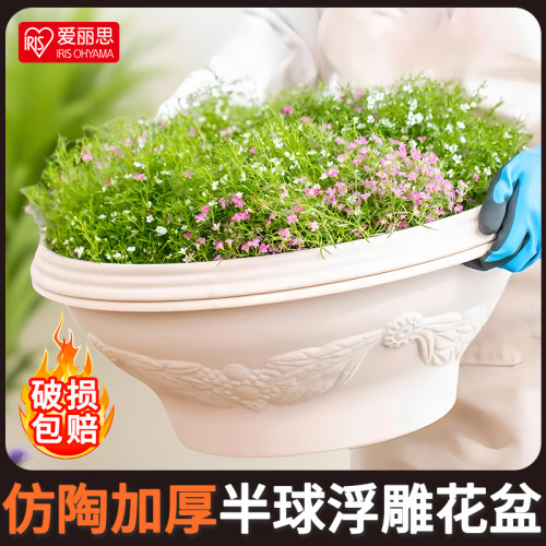 爱丽丝花盆思树脂简约塑料