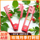 玫瑰钳打刺钳子花艺花店工具玫瑰花束除刺夹鲜花铁质打刺夹去刺宝