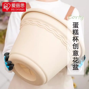 爱丽思蛋糕杯情绪稳定控根树脂加仑盆月季 绣球绿萝爱丽丝塑料花盆