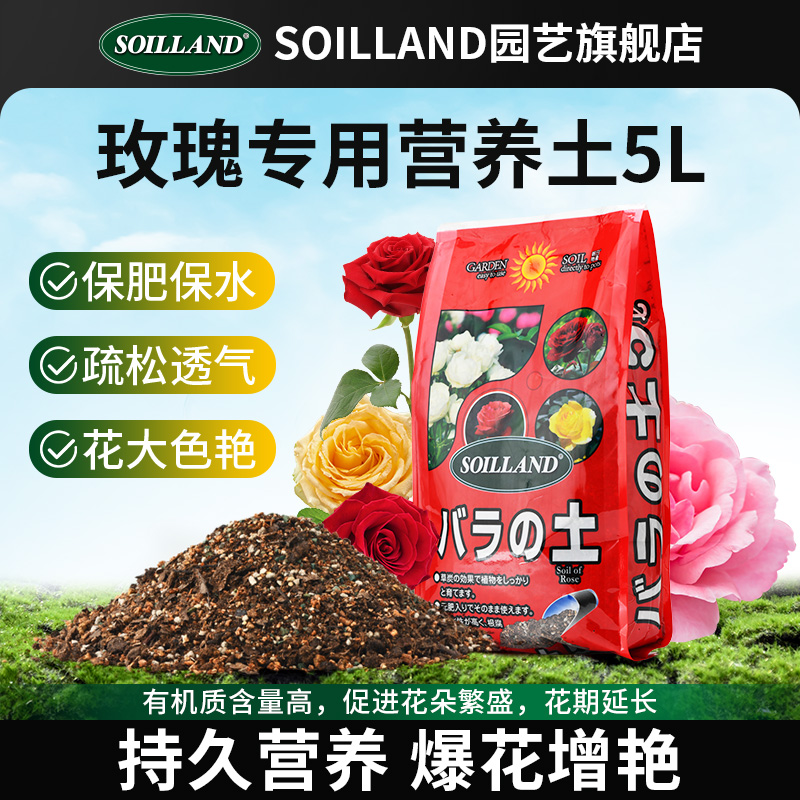 大柿园艺soiland月季玫瑰