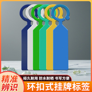 环套标签加厚塑料防水植物记号分类色卡悬挂式标记葡萄苗木花卉