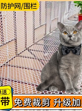 阳台防护网塑料网格围栏网安全防盗窗垫板窗台防猫掉封窗网护栏网