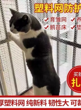 阳台防护网加厚塑料网格围栏网安全防盗窗垫板窗台防猫封窗护栏网