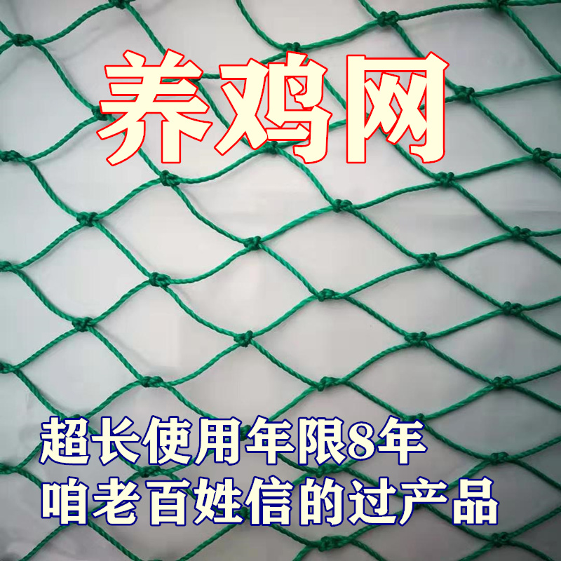 养鸡网塑料安全网尼龙网养殖网进口网围栏网护栏网防鸟网防护网