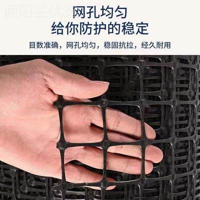 鸡网养栅殖网塑料网围栏家禽全防护网隔离栏SSU漏粪护养栏网格拦