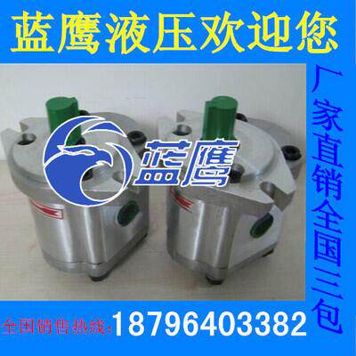 齿轮泵CBW-F304/F306/F308/F310/F312/F314/F316/F320/F325-ALPL