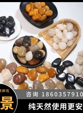 重庆天然鹅卵石铺地造景雨花石原石庭院石子花园鱼缸白色鹅软暖石