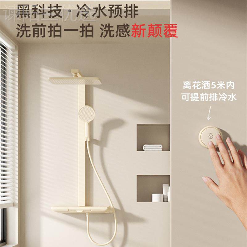 轻增奢黄铜大置物架花洒浴室淋浴器压钢QW-IR01按键恒温琴淋套雨