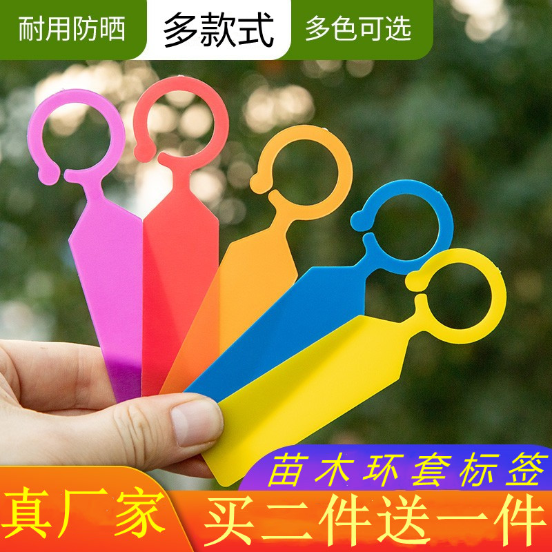 园艺标签防水塑料环套环扣标签葡萄记号卡授粉标记牌苗木花卉标签