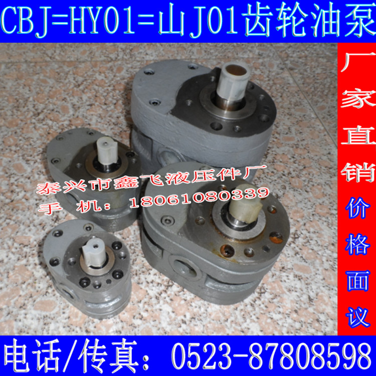 CBJ-100X25齿轮油泵70*25杭州平面磨床M7130 M7132液压泵D配件