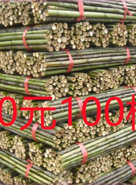 黄瓜豆角架搭架杆爬藤架竹竿扶植竿支架支撑旗杆绑气球竹子杆架杆