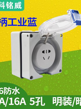 220V二三插16A室外IP66防水电源插座 56SO316F明装暗装景区公园用