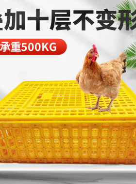 塑料鸡笼周转箱鸡用运输笼鸭鸡苗周转筐鸽子兔用加厚运输筐鸡笼子