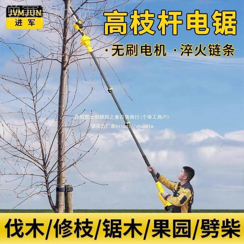 锯锂电高枝电动高YLG枝剪伸缩加长杆充电式电链空锯园树枝修剪林