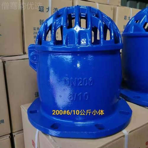 供应大流量底阀 水泵用给水墨底阀 H42X球新铸型铁EFF底阀