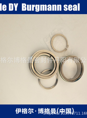 丹阳博格曼用于初脱硫富液泵FTJ125-100-250C泵用机封