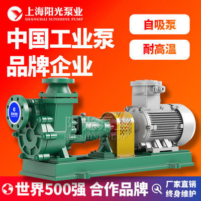 【定制】FZB氟塑料电动自吸泵自吸泵供应盐酸自吸泵 自控自吸泵