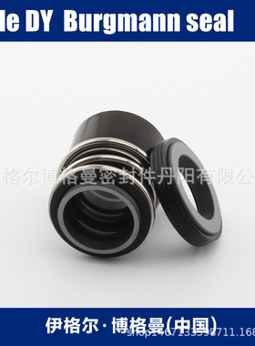 丹阳博格曼机械密封11-MG12/32-G6 AQ2VGG原装机械密封件