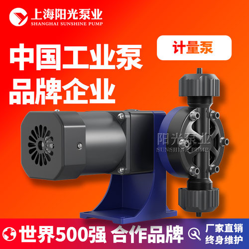DJ-W型隔膜式计量泵 机械计量泵电磁隔膜计量泵高压计量泵