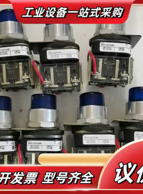 Allen-Bradley蓝色带灯按钮800T-QTH2议价