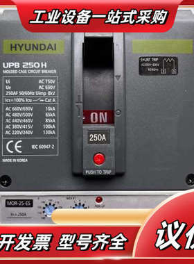 HYUNDAI现代断路器UPB250H 3P250ASHT议价