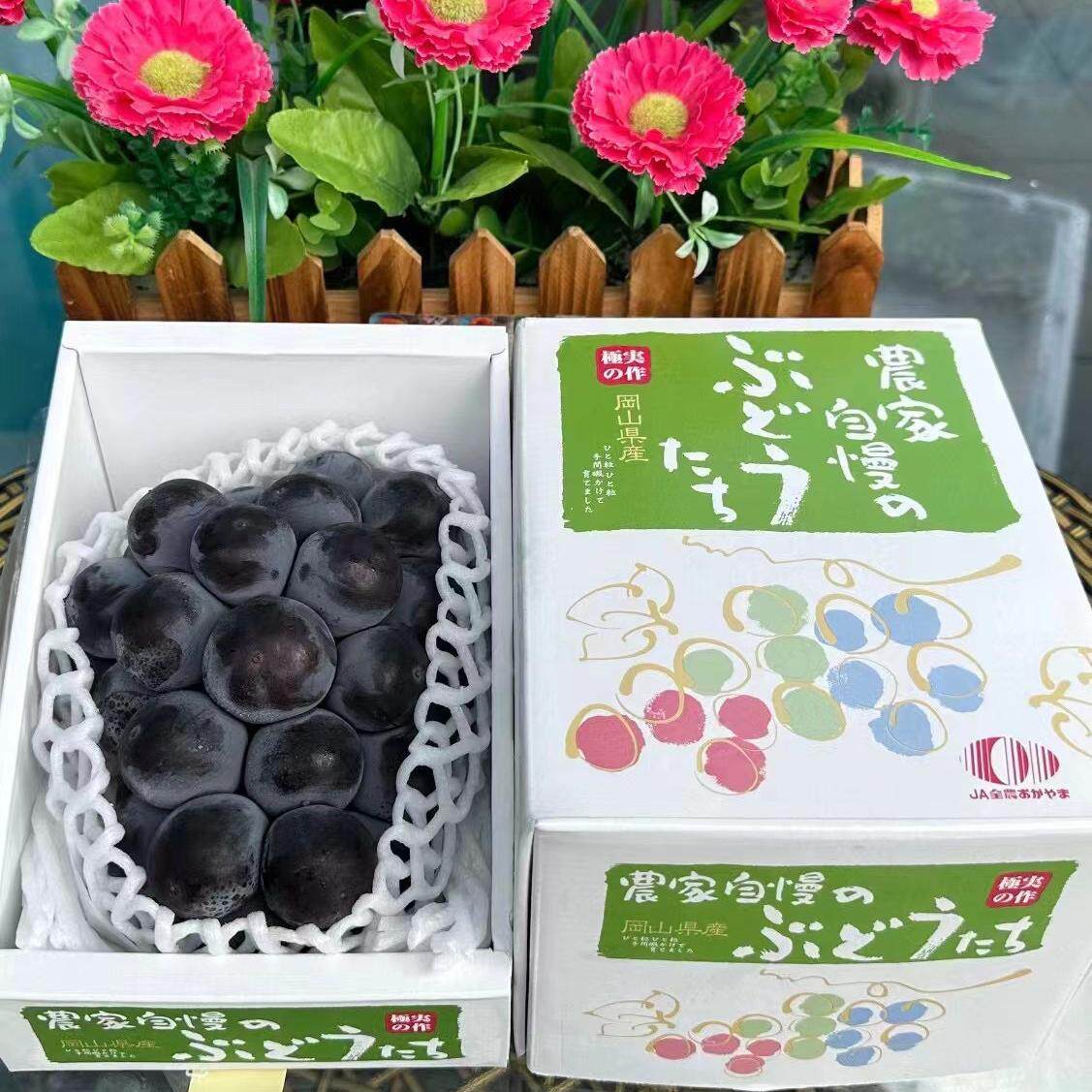 冈山极光巨峰日本猫眼巨峰品种香甜Q弹酒香节日礼盒送礼孕妇深圳
