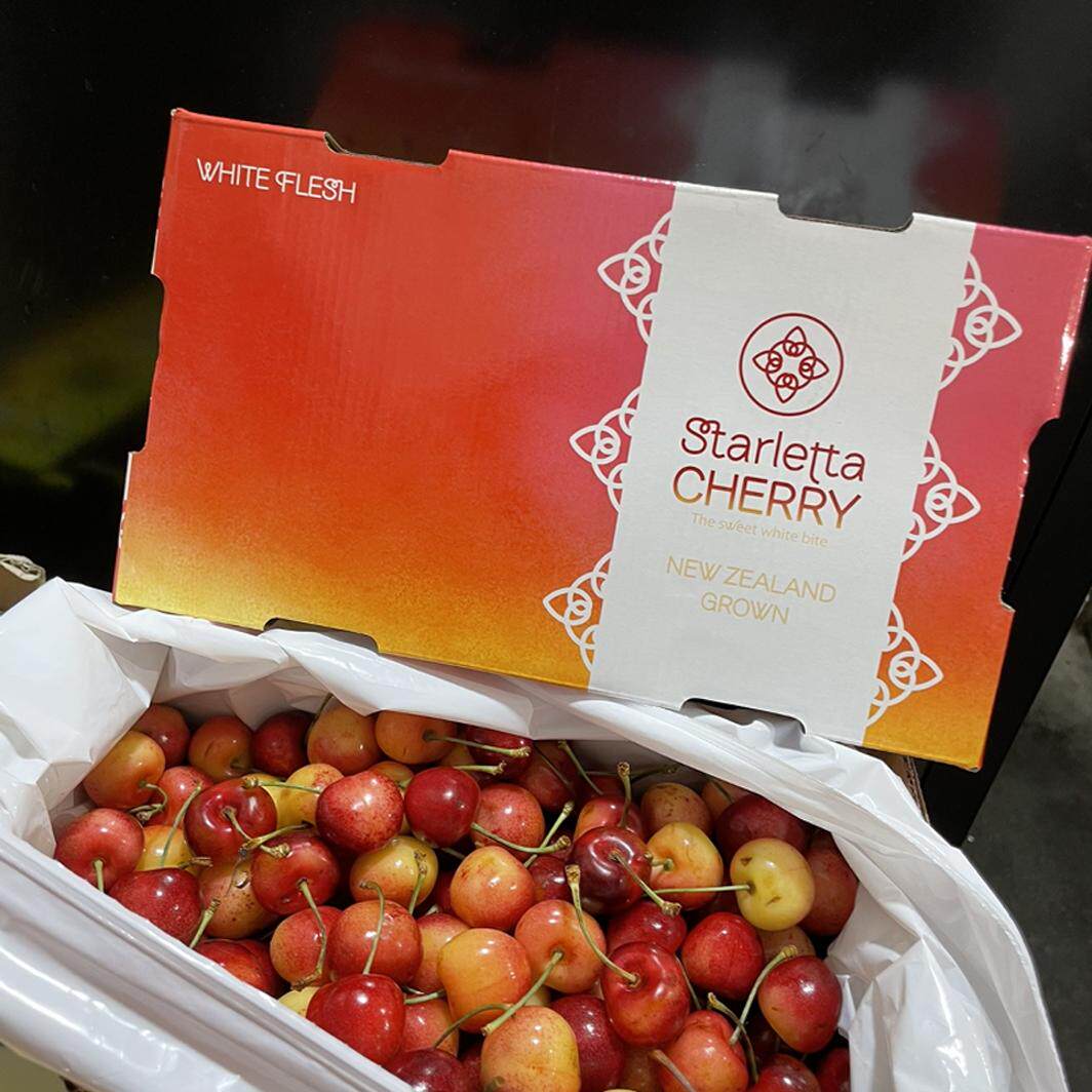 新西兰小星星车厘子Starletta黄樱桃进口金车厘子空运新鲜脆甜