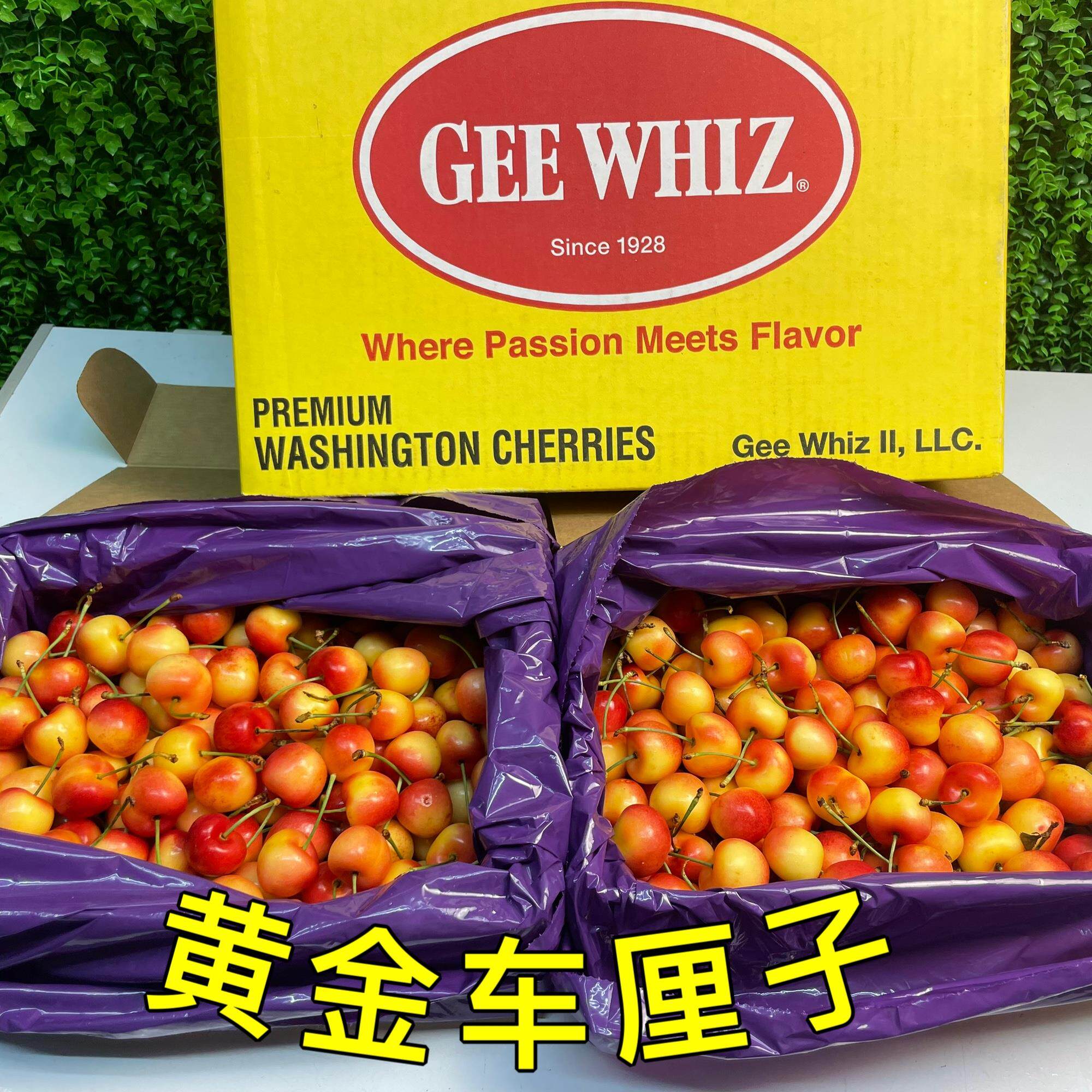 芝华士GEE WHIZ 黄金车厘子礼盒2千克/盒脆甜多汁雷尼尔Raininer