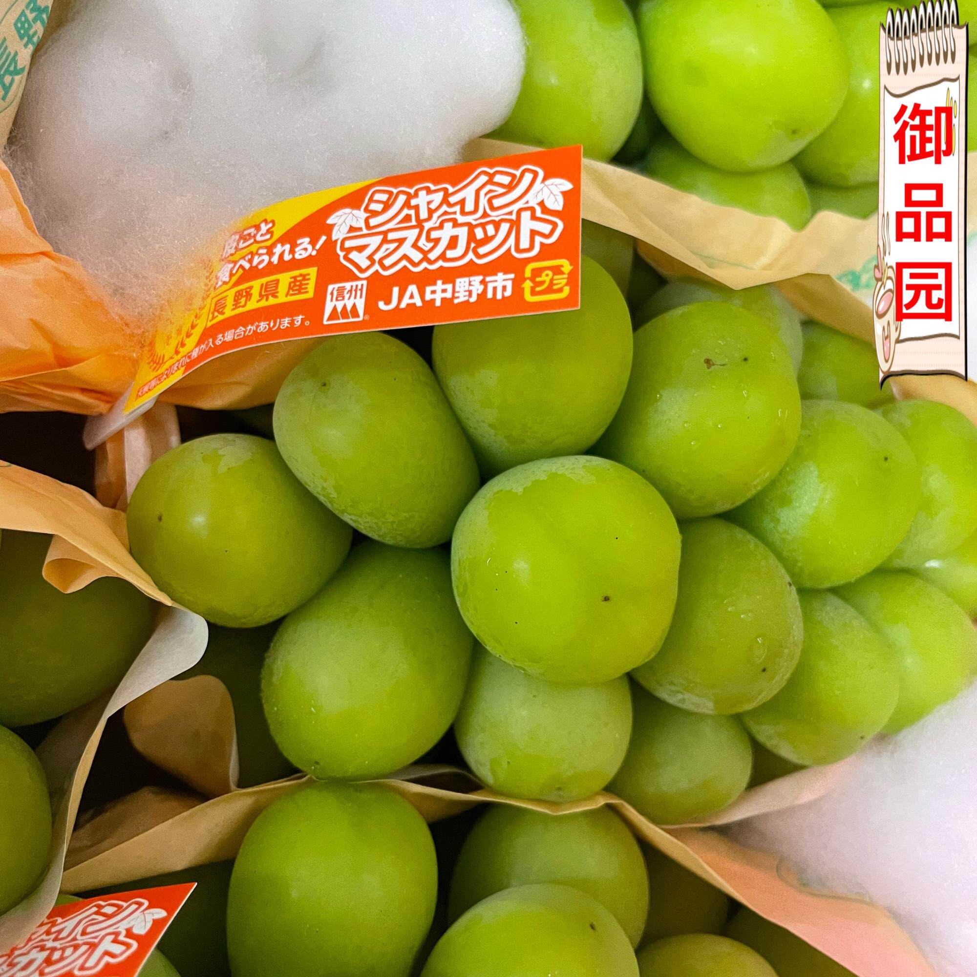 长野香印中野香印山梨香印单串1葡萄/提子