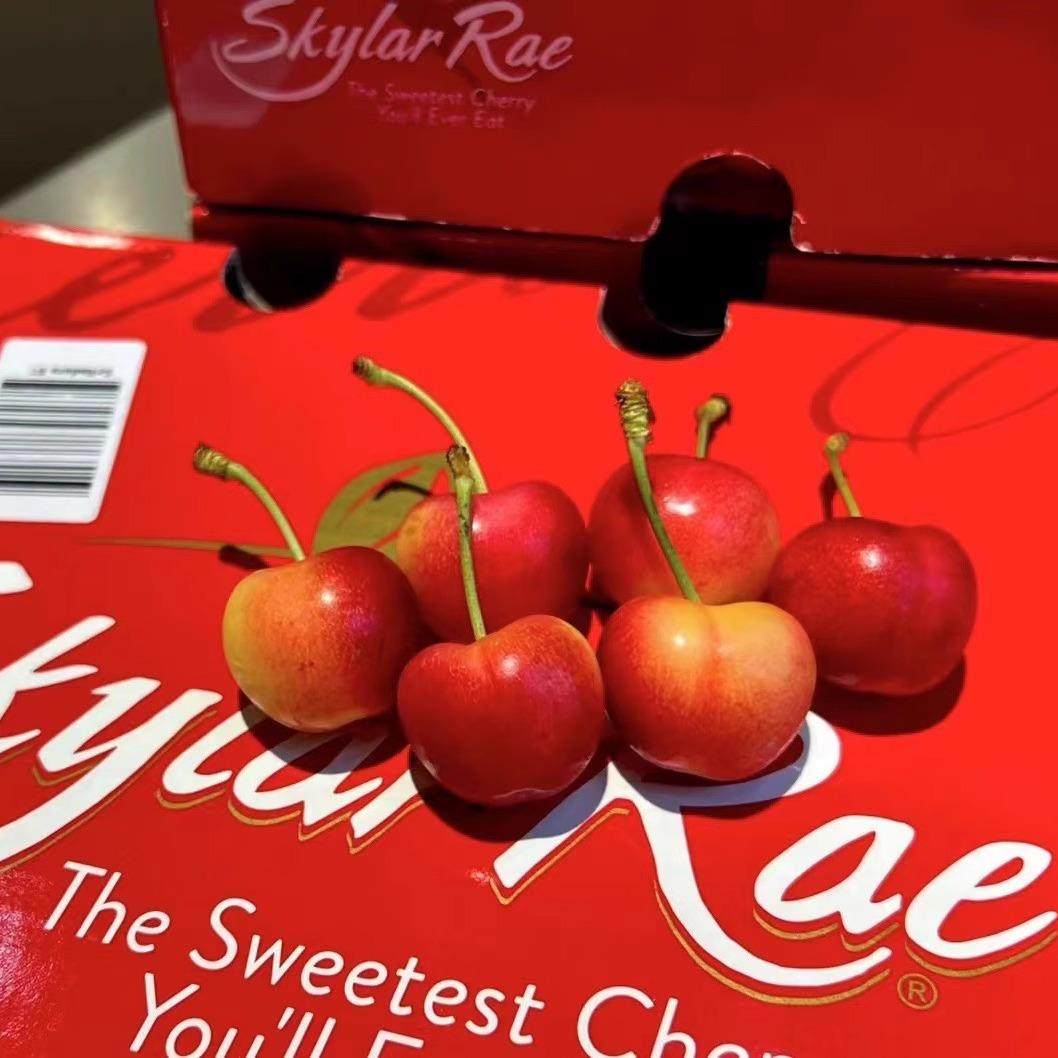 Skylar Rae天空之城黄金车厘子斯科拉斯卡拉雷斯凯拉雷车厘子樱桃