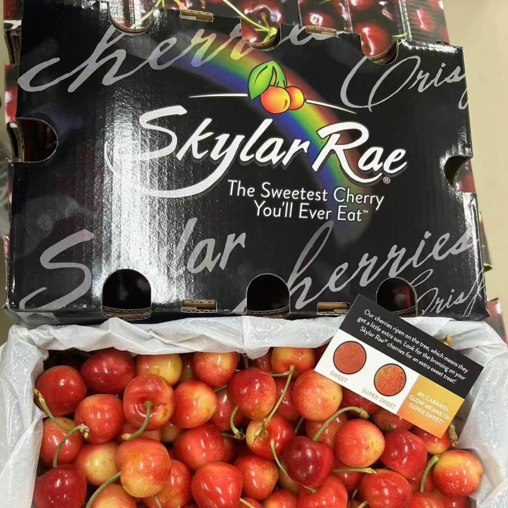 斯凯拉雷车厘子天空之城SkylarRae黄金车厘子黄樱桃斯卡拉雷