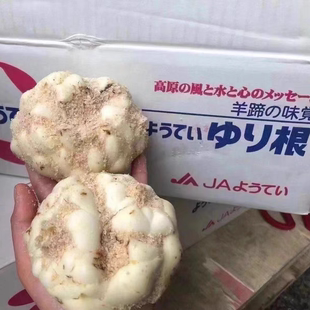 日本北海道真狩十胜羊蹄百合根国产品种2Kg5Kg装软糯香甜煲汤深圳