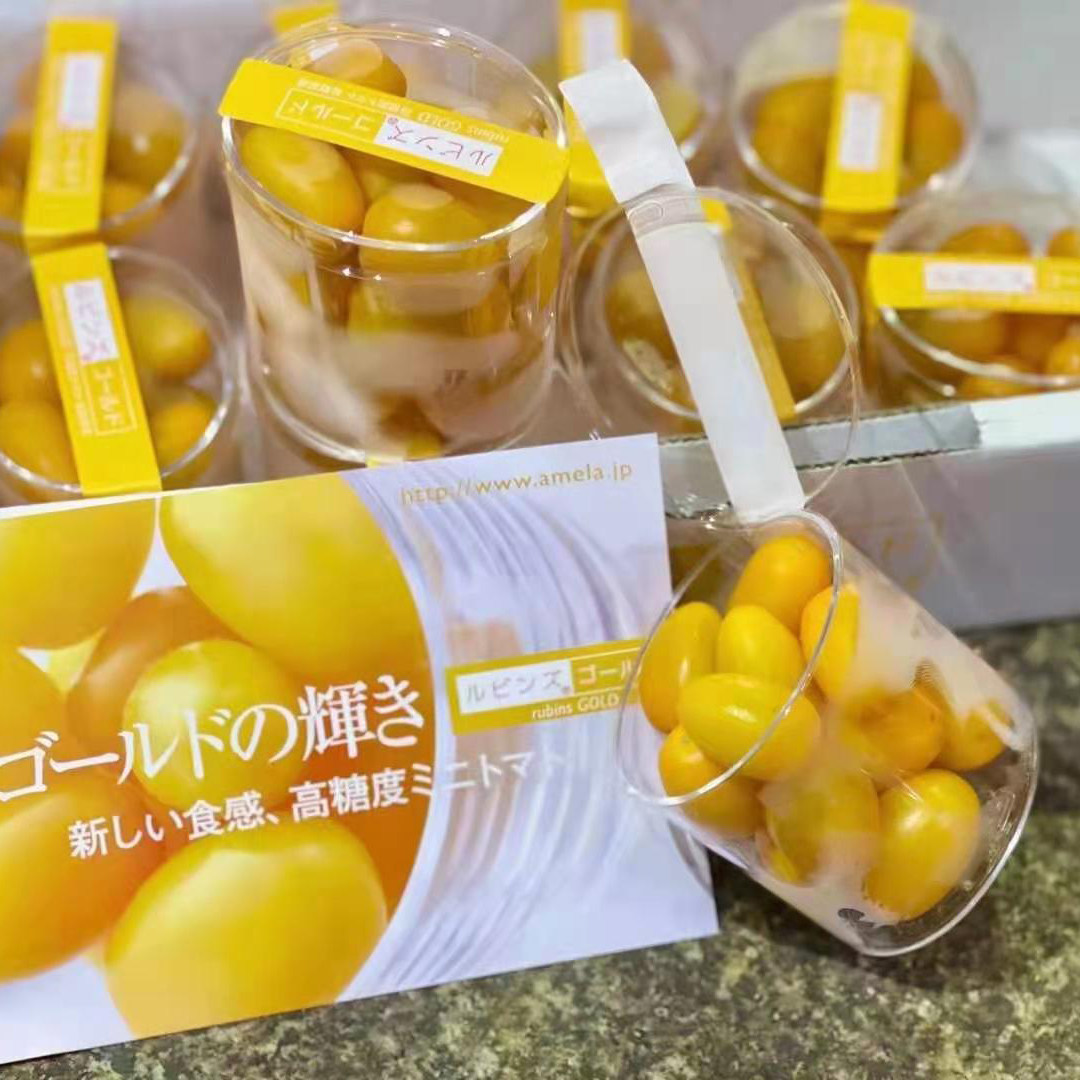静冈黄色杯茄日本小番茄新鲜西红柿孕妇水果圣女果