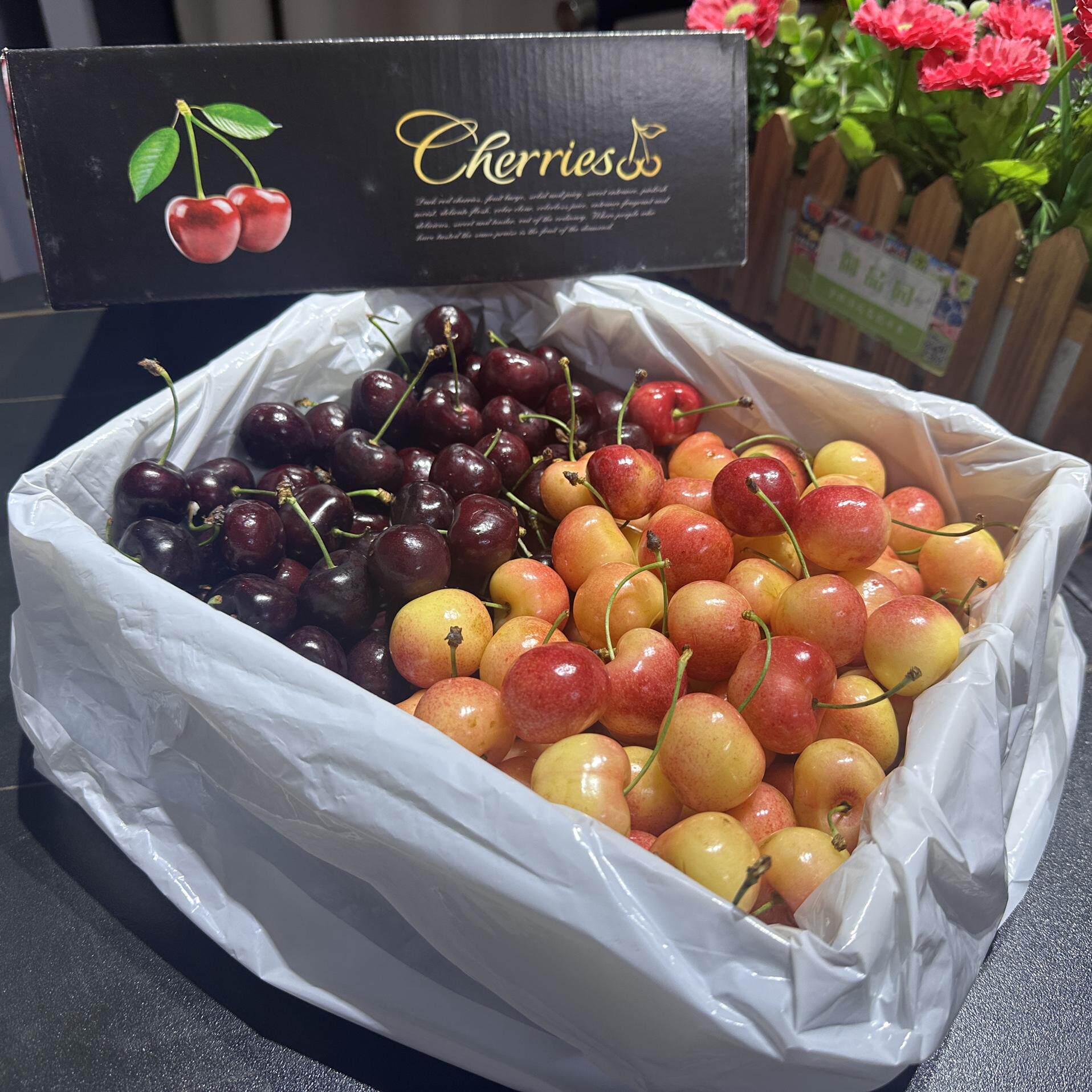智利空运车厘子双拼金黑车新鲜大樱桃应季孕妇水果礼盒嘎嘣脆深圳