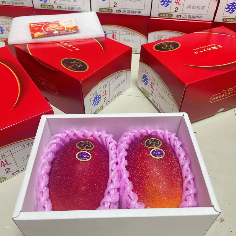 引种宫崎芒新鲜水果太阳之子双颗礼盒装顺丰