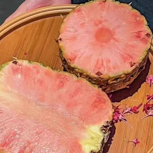 粉色菠萝粉菠萝粉色凤梨网红同款菠萝新鲜食用单颗礼盒款送礼浪漫
