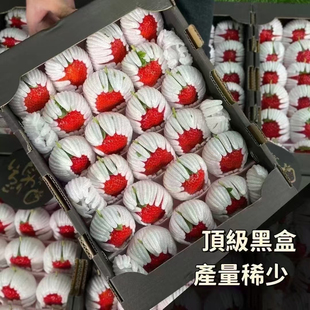 正宗日本菊池草莓品种国产草莓士多啤梨24-30颗礼盒贵草莓顺丰