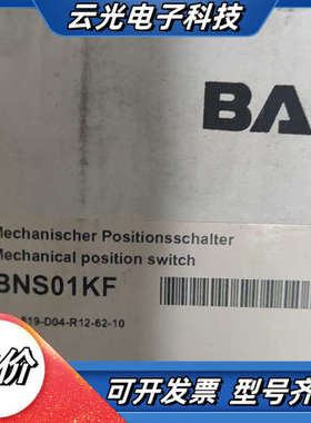 BNS 819-D04-R12-62-10 BNS01KF巴议价