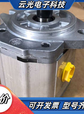 丹佛斯齿轮泵SNP2NN/017RN06GA 仅装机未使用议价